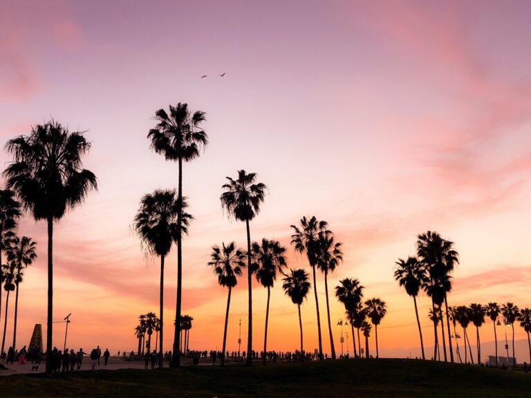 Get into a Californi﻿a University the Easy Way