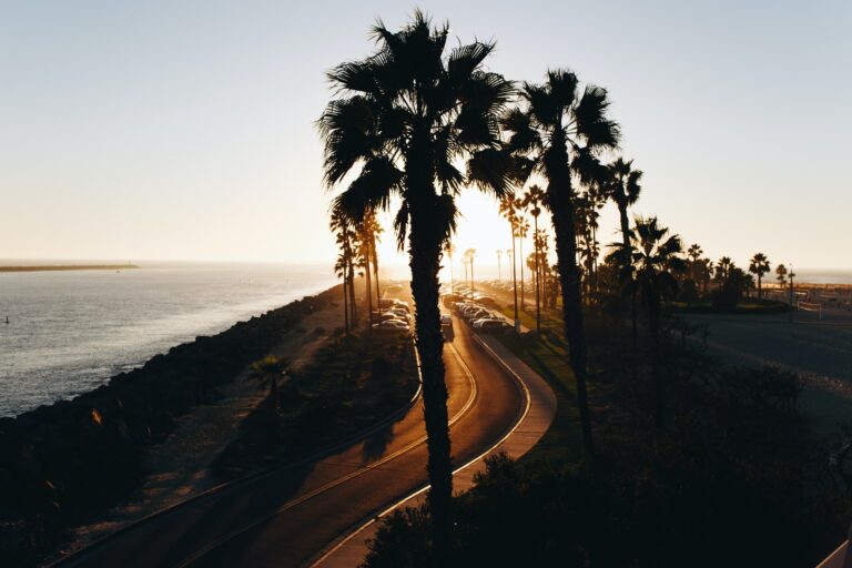 Apply to California Universities NOW!